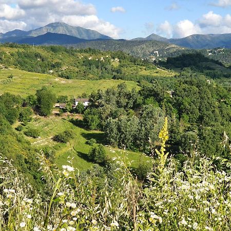 Lerma Agriturismo Il Burlino Apartments מראה חיצוני תמונה