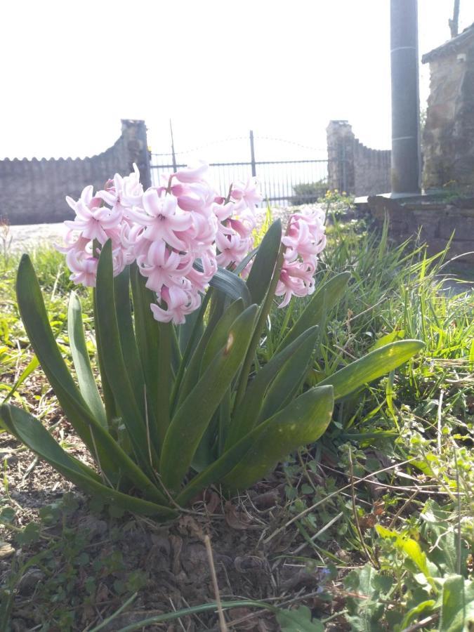 Lerma Agriturismo Il Burlino Apartments מראה חיצוני תמונה