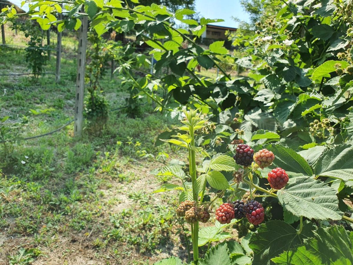 Lerma Agriturismo Il Burlino Apartments מראה חיצוני תמונה