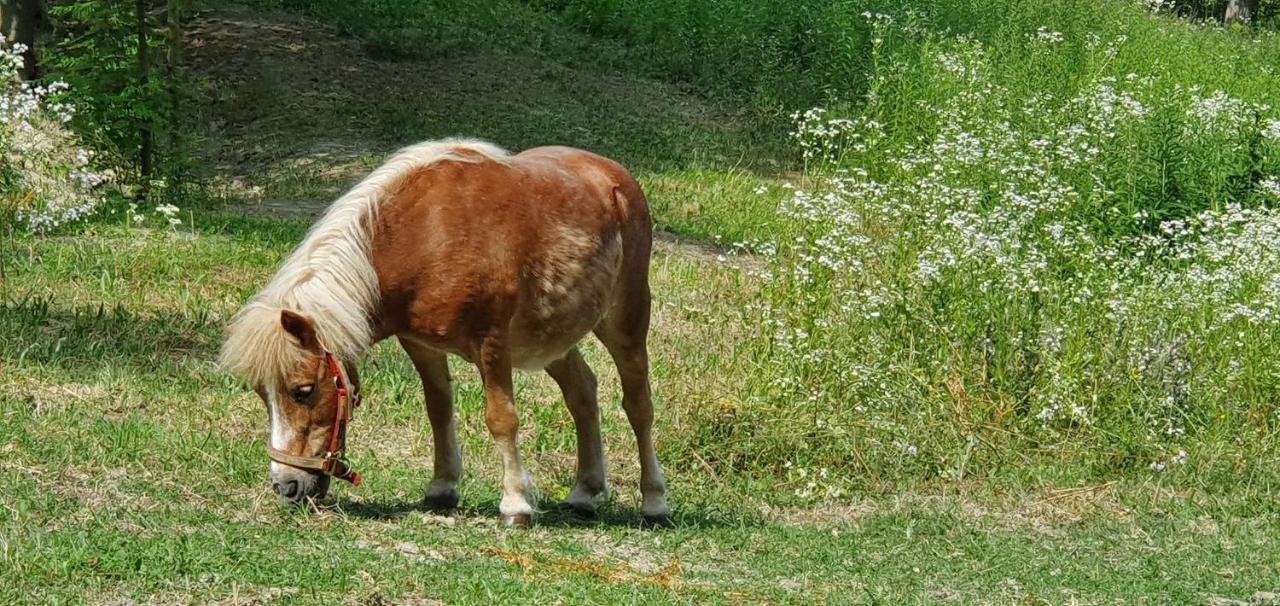 Lerma Agriturismo Il Burlino Apartments מראה חיצוני תמונה