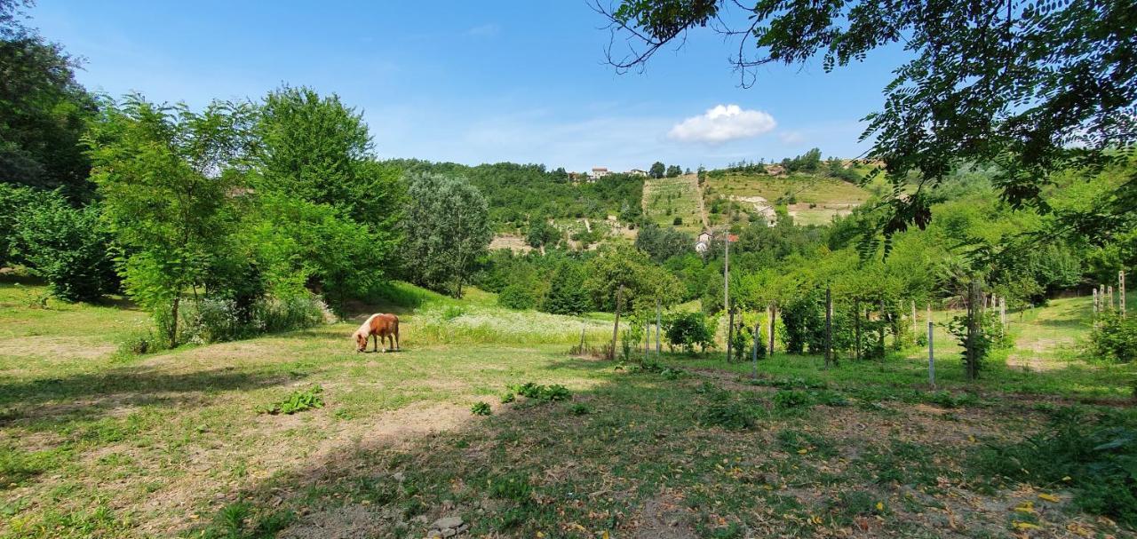 Lerma Agriturismo Il Burlino Apartments מראה חיצוני תמונה