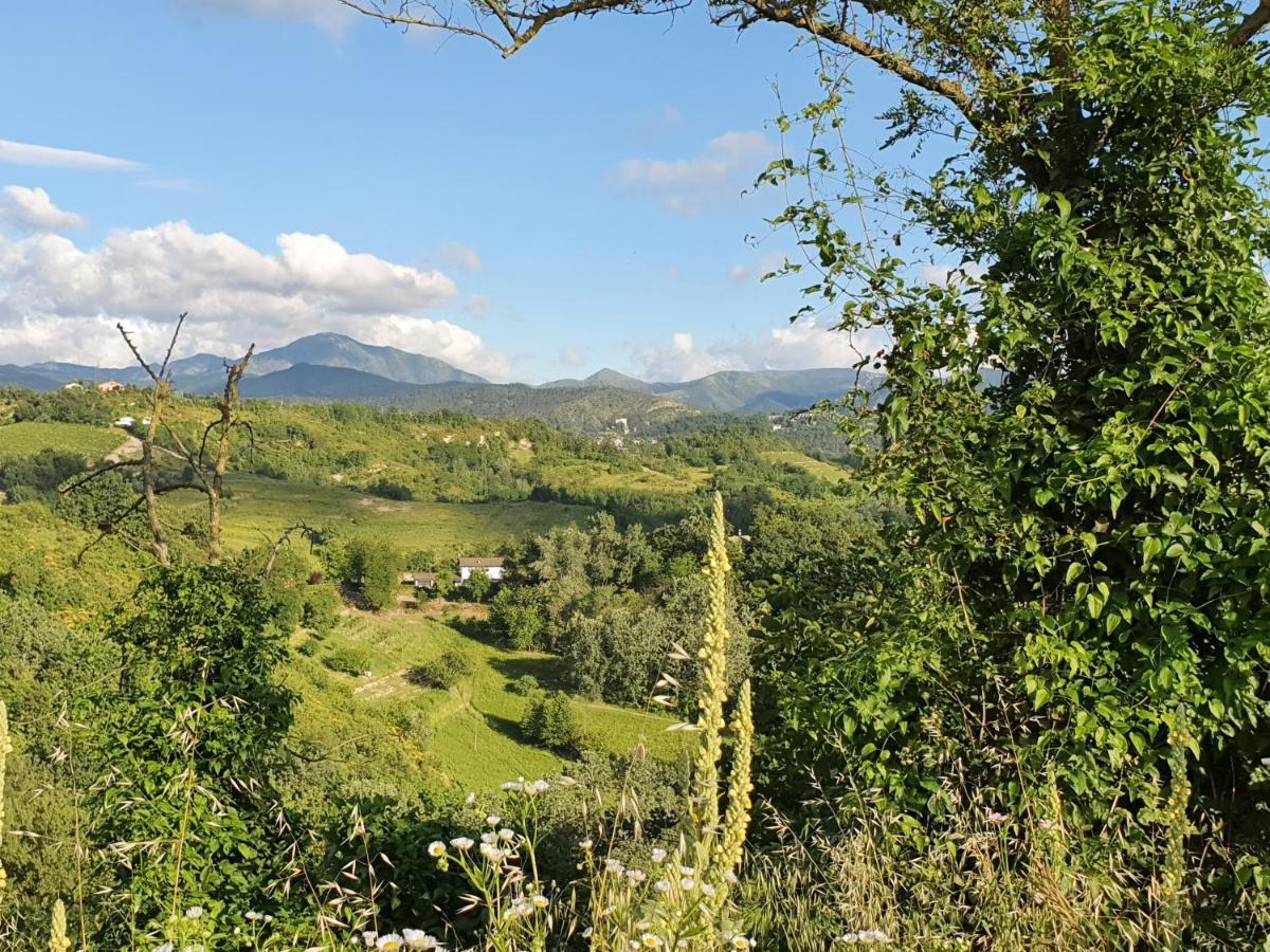 Lerma Agriturismo Il Burlino Apartments מראה חיצוני תמונה