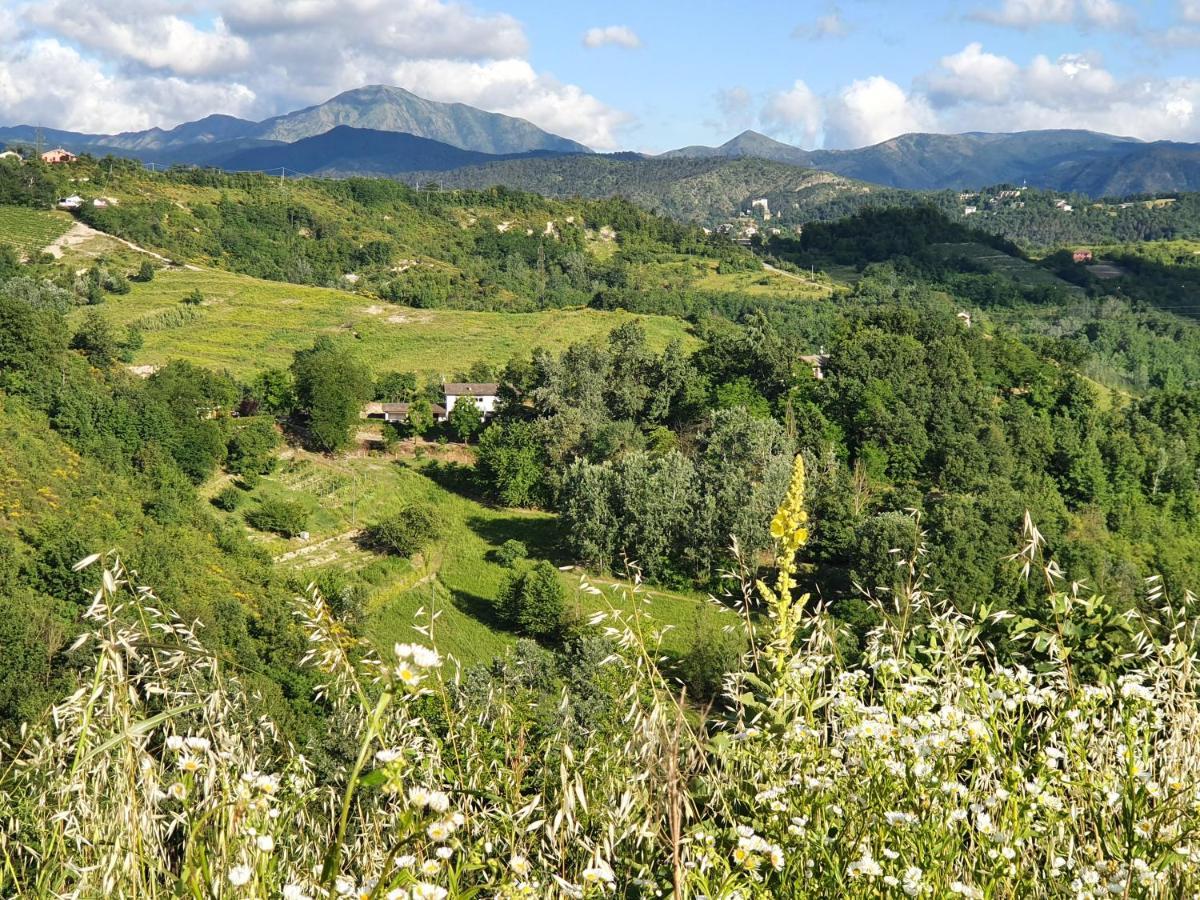 Lerma Agriturismo Il Burlino Apartments מראה חיצוני תמונה